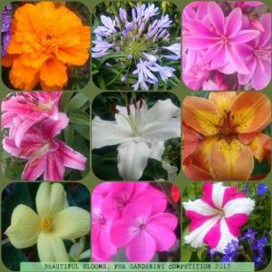 BLOOMING LOVELY